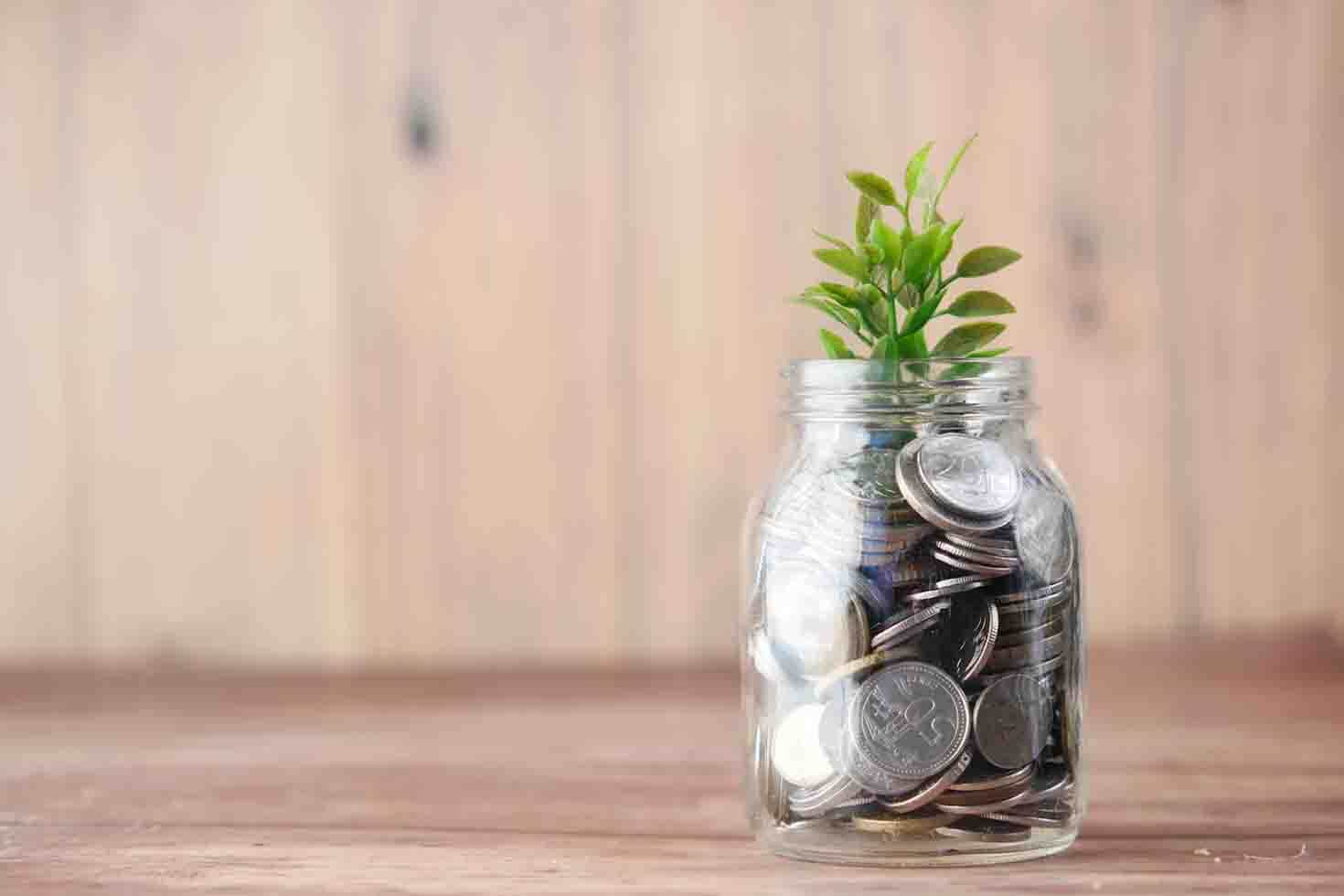 investment concept image - plant sprouting out of jar of coins